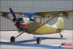 Cessna O-1E Bird  Dog - Planes of Fame Air Museum: Pre-War Fighters - January 7, 2012
