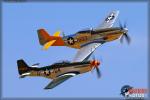 North American P-51D Mustangs - Planes of Fame Airshow 2013 [ DAY 1 ]
