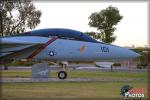 Grumman F-14A Tomcat - NAF El Centro Airshow 2014