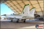 Boeing F/A-18B Hornet - NAF El Centro Airshow 2014