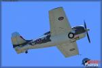 Grumman FM-2 Wildcat - Planes of Fame Airshow 2014 [ DAY 1 ]