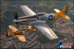 North American P-51D Mustang   &  P-40N Warhawk